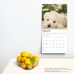 West Highland White Terrier Pups 2024 Wall Calendar -Calendars Sales Store 18d83559 cd3e 456c a1c5 86bdd9301f8b