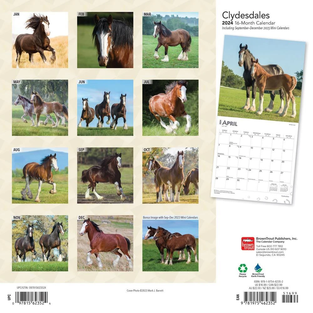 Clydesdales 2024 Wall Calendar 4 Clydesdales 2024 Wall Calendar - Image 2