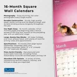 Yoga Dogs Together 2024 Wall Calendar 14 Yoga Dogs Together 2024 Wall Calendar -Calendars Sales Store 194b4207 1075 438a ad0f f7719efbdb7f