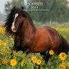 Horses 2024 Wall Calendar -Calendars Sales Store 1953f65c 412b 4d12 a093 c22514239efb