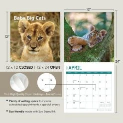 Baby Big Cats 2024 Wall Calendar -Calendars Sales Store 19f3a055 709c 47c9 8a76 fad6448ee283