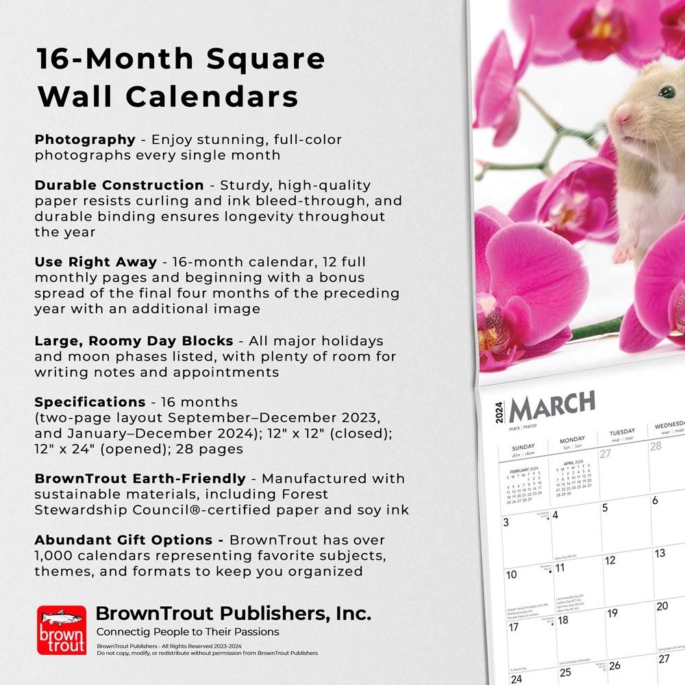 Hamsters 2024 Wall Calendar 7 Hamsters 2024 Wall Calendar - Image 5