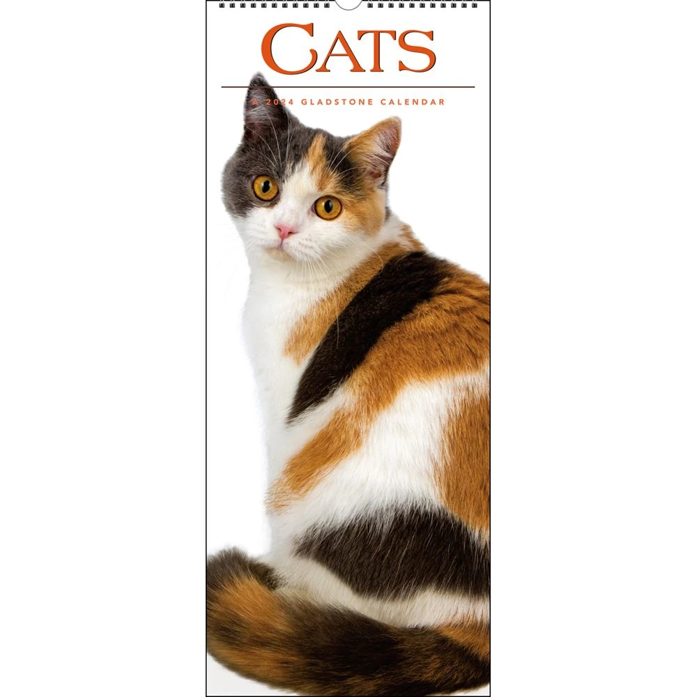 Cats Vertical 2024 Wall Calendar 3 Cats Vertical 2024 Wall Calendar