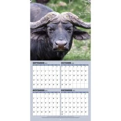 African Safari 2024 Wall Calendar -Calendars Sales Store 1c91a334 39ef 4db0 8ca8 d9e7fc4e82e9