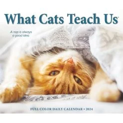 Cats What Cats Teach Us 2024 Desk Calendar -Calendars Sales Store 1cc1c1c3 0a45 40da a8a8 a3b024bcd18a