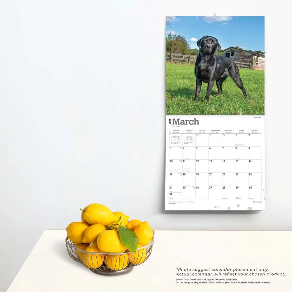 Black Lab Retriever 2024 Wall Calendar 6 Black Lab Retriever 2024 Wall Calendar - Image 4