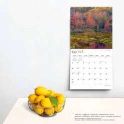 Maine Wild And Scenic 2024 Wall Calendar -Calendars Sales Store 1e82bf53 56ee 489d 8411 b1ff2455020c