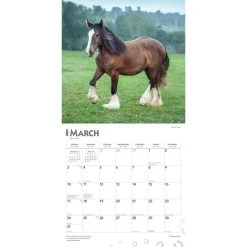 Clydesdales 2024 Wall Calendar 12 Clydesdales 2024 Wall Calendar -Calendars Sales Store 1ea22750 f83f 4c1c 9e1e 4a3272299a62