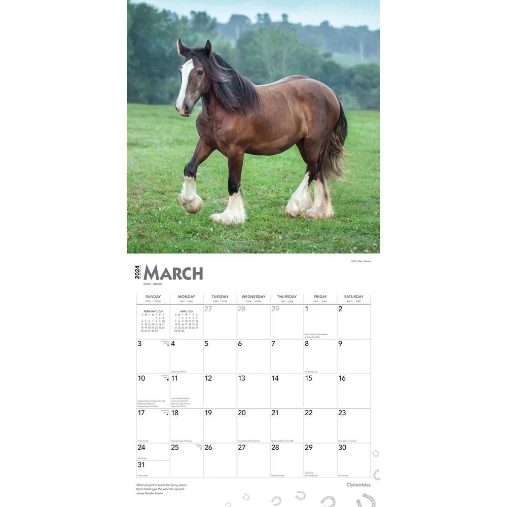 Clydesdales 2024 Wall Calendar 5 Clydesdales 2024 Wall Calendar - Image 3