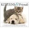 Kittens & Friends 2024 Desk Calendar
