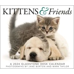 Kittens & Friends 2024 Desk Calendar