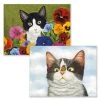 American Cat Assorted Boxed Note Cards -Calendars Sales Store 201900013235