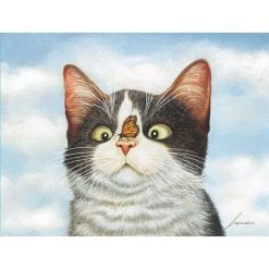 American Cat Assorted Boxed Note Cards -Calendars Sales Store 201900013235 ALT2