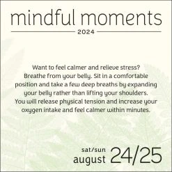 Mindful Moments 2024 Desk Calendar -Calendars Sales Store 202400002207 ALT3