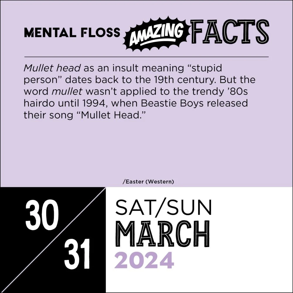 Mental Floss Amazing Facts 2024 Desk Calendar 6 Mental Floss Amazing Facts 2024 Desk Calendar - Image 4
