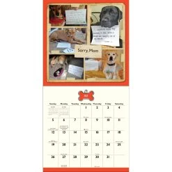 Dog Shaming 2024 Wall Calendar -Calendars Sales Store 202400002245 ALT3