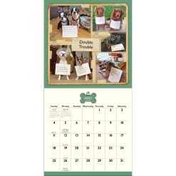 Dog Shaming 2024 Wall Calendar -Calendars Sales Store 202400002245 ALT4