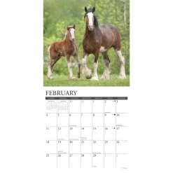 Clydesdales Horses 2024 Wall Calendar 9 Clydesdales Horses 2024 Wall Calendar -Calendars Sales Store 202400003643 ALT2