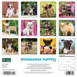 Just Chihuahua Puppies 2024 Wall Calendar -Calendars Sales Store 202400003659 ALT1