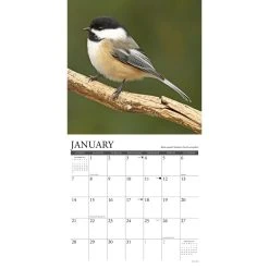 Chickadees 2024 Wall Calendar -Calendars Sales Store 202400003660 ALT2