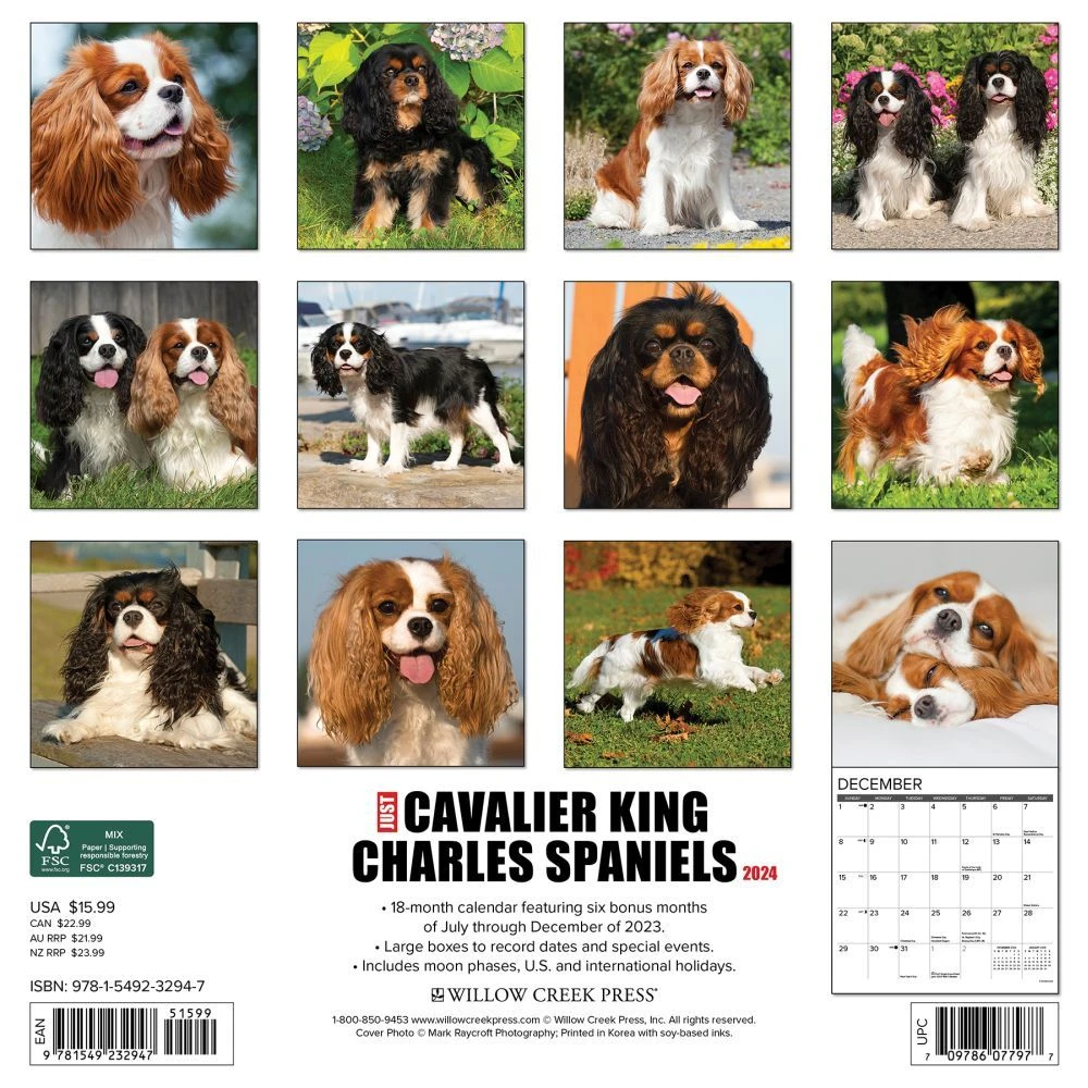 Just Cavalier King Charles 2024 Wall Calendar 4 Just Cavalier King Charles 2024 Wall Calendar - Image 2