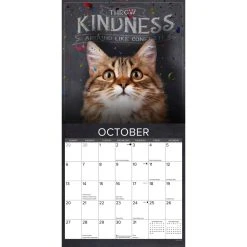 Catspirations 2024 Wall Calendar -Calendars Sales Store 202400003665 ALT2