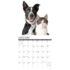 Cats & Dogs 2024 Wall Calendar -Calendars Sales Store 202400003666 ALT2