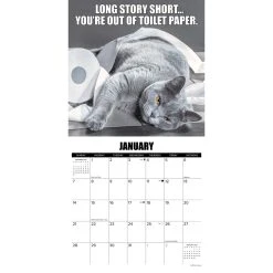 Cat-Astrophe 2024 Wall Calendar -Calendars Sales Store 202400003668 ALT2
