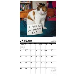 Cat Shaming 2024 Wall Calendar -Calendars Sales Store 202400003669 ALT2