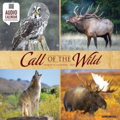 Call Of The Wild 2024 Wall Calendar