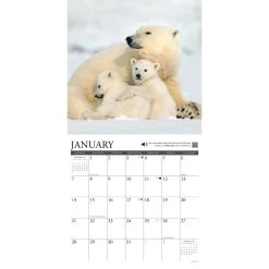 Call Of The Wild 2024 Wall Calendar -Calendars Sales Store 202400003675 ALT2