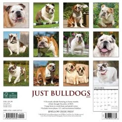 Just Bulldogs 2024 Wall Calendar -Calendars Sales Store 202400003683 ALT1
