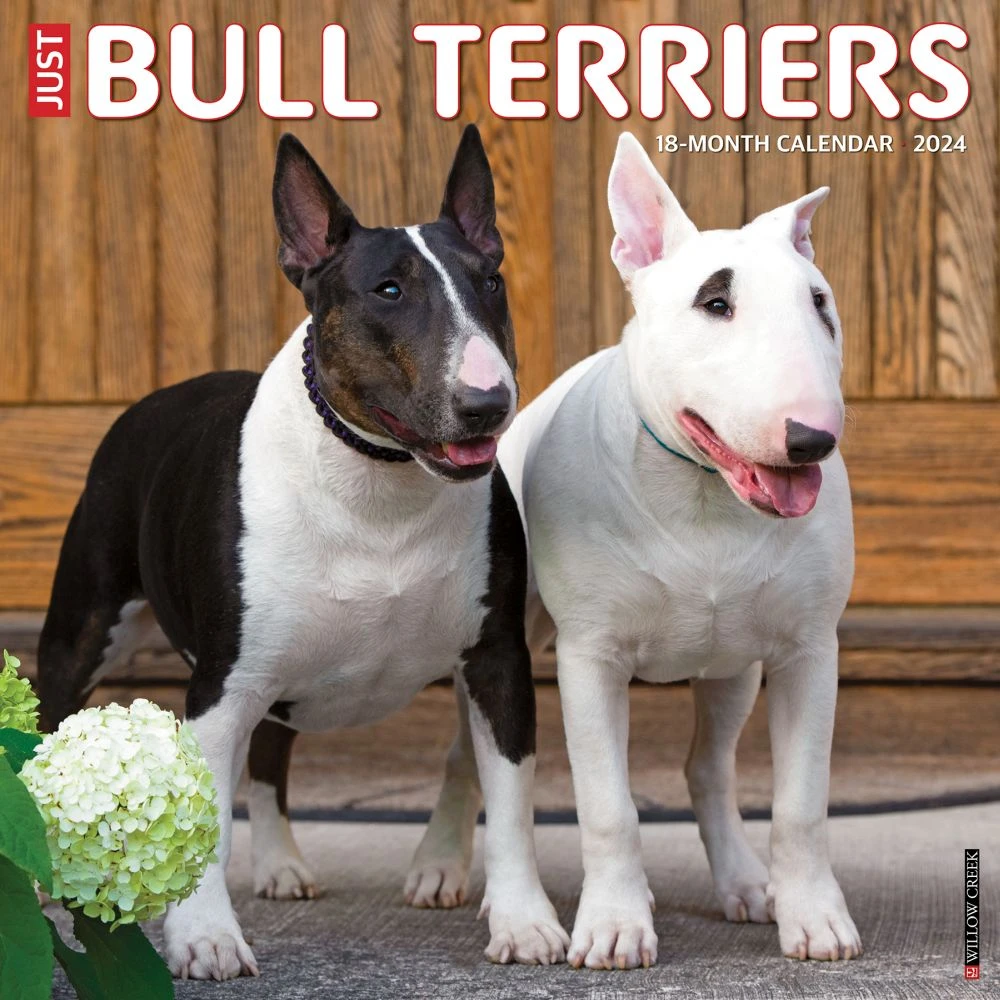 Just Bull Terriers 2024 Wall Calendar 3 Just Bull Terriers 2024 Wall Calendar