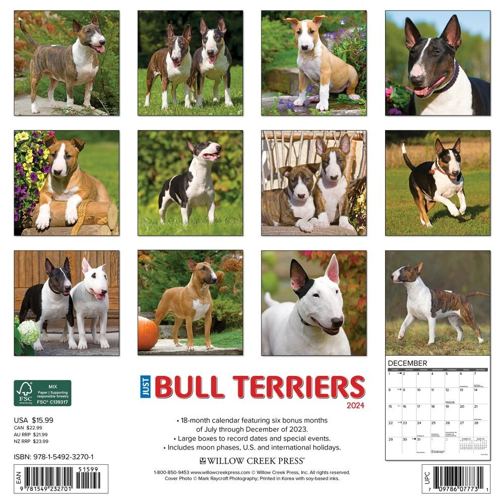 Just Bull Terriers 2024 Wall Calendar 4 Just Bull Terriers 2024 Wall Calendar - Image 2