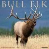 Bull Elk 2024 Wall Calendar -Calendars Sales Store 202400003687