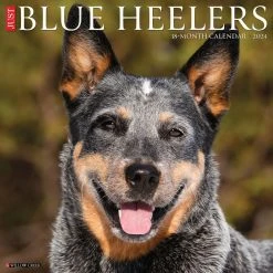 Just Blue Heelers 2024 Wall Calendar