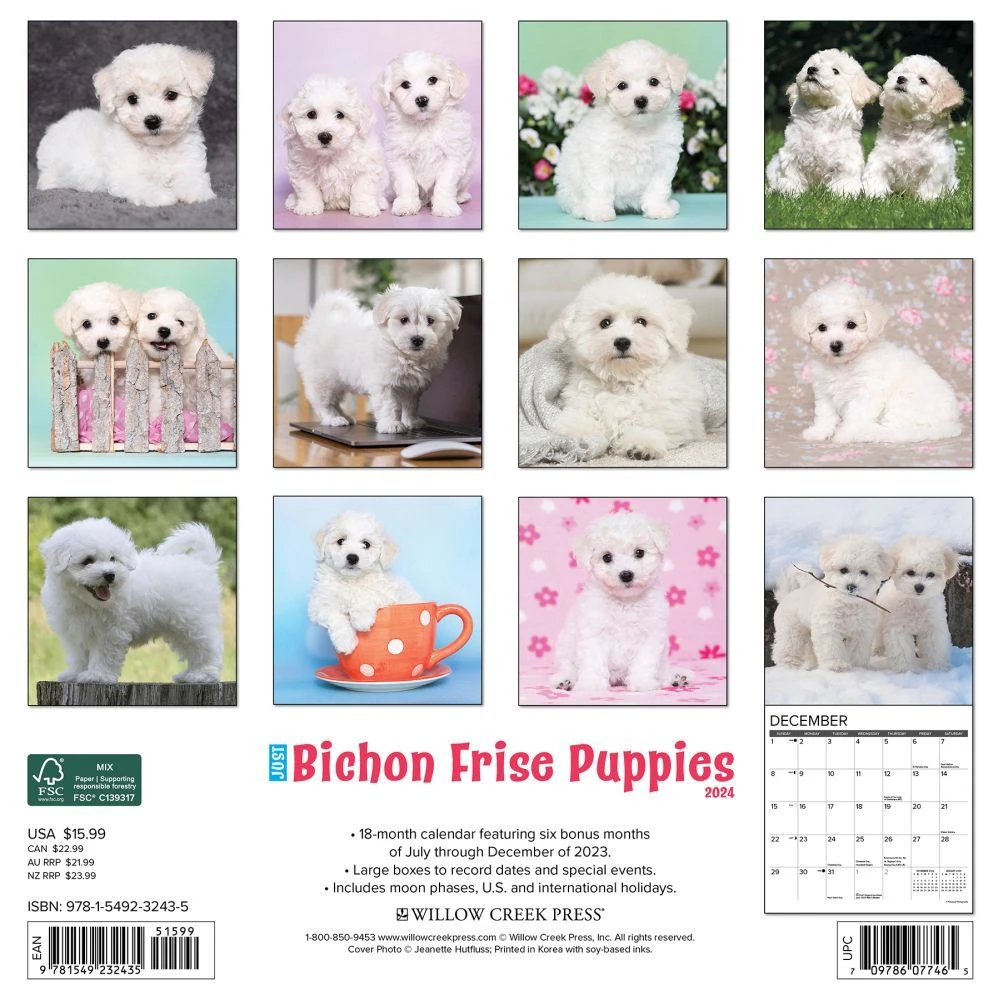 Just Bichon Frise Puppies 2024 Wall Calendar 4 Just Bichon Frise Puppies 2024 Wall Calendar - Image 2