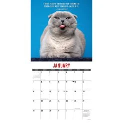 Just Bad Kitties 2024 Wall Calendar -Calendars Sales Store 202400003728 ALT2