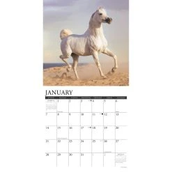 Arabians 2024 Wall Calendar -Calendars Sales Store 202400003743 ALT2