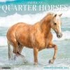 American Quarter Horses 2024 Wall Calendar -Calendars Sales Store 202400003748