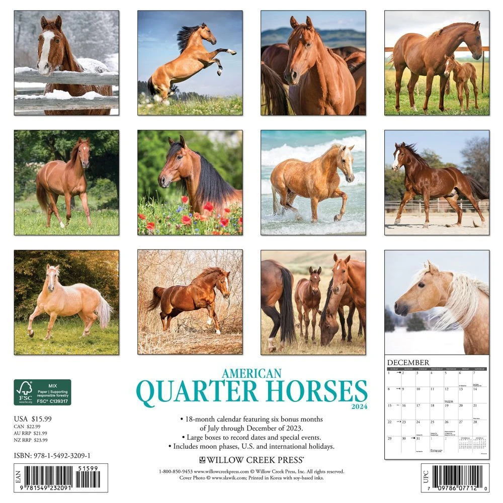 American Quarter Horses 2024 Wall Calendar 4 American Quarter Horses 2024 Wall Calendar - Image 2