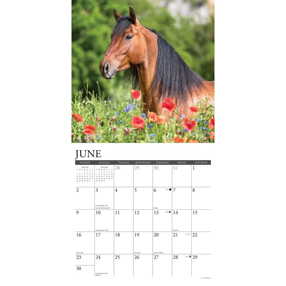 American Quarter Horses 2024 Wall Calendar 5 American Quarter Horses 2024 Wall Calendar - Image 3