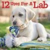 12 Uses For A Lab 2024 Wall Calendar -Calendars Sales Store 202400003763