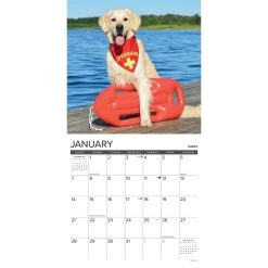12 Uses For A Golden 2024 Wall Calendar -Calendars Sales Store 202400003764 ALT2