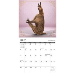 Llama Yoga 2024 Wall Calendar 9 Llama Yoga 2024 Wall Calendar -Calendars Sales Store 202400003776 ALT2