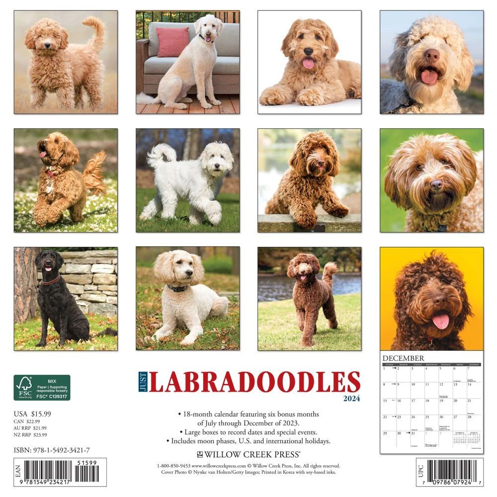 Just Labradoodles 2024 Wall Calendar 4 Just Labradoodles 2024 Wall Calendar - Image 2