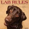 Lab Rules 2024 Wall Calendar -Calendars Sales Store 202400003787