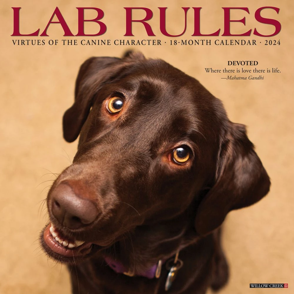 Lab Rules 2024 Wall Calendar 3 Lab Rules 2024 Wall Calendar