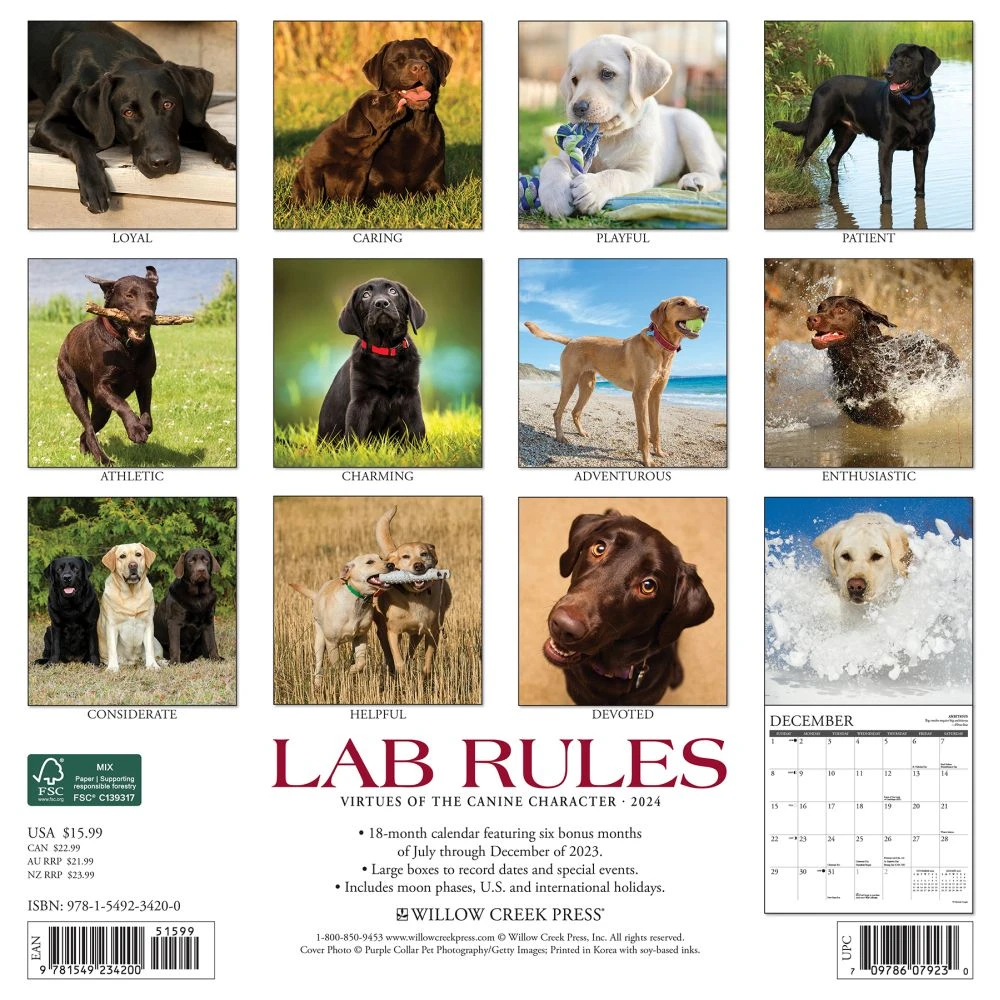 Lab Rules 2024 Wall Calendar 4 Lab Rules 2024 Wall Calendar - Image 2