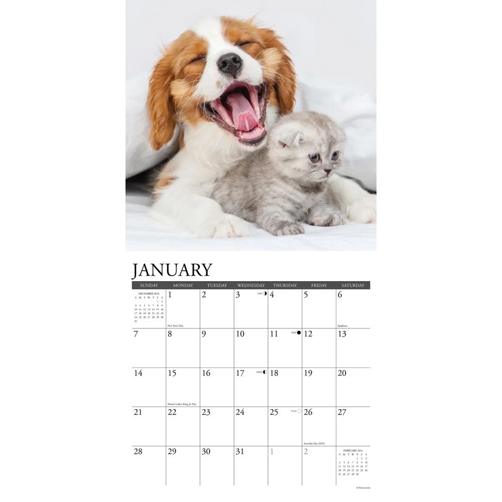 Kittens & Puppies 2024 Wall Calendar 5 Kittens & Puppies 2024 Wall Calendar - Image 3